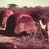 Potluck chat & Vagabondism Class - May 26 2009